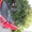 Honda civic tuning #62789