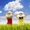 Reactive Education #81499