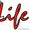 видеостудия DigiLife #147891