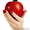 Cтудия GRATTO! Курсы!  #366993