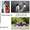 Love story,  Свадьбы,  фотосессия,  Студийная съемка #612283