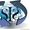 Single Information System #794279