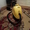 Karcher DS 5600 #817212