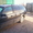 karash-85@mail.ru. Караш,  87075815401 #840025