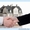 Ремонт квартир и офисов в Алматы #881333