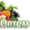 Семена овощей оптом,  удобрения Флоровит  #874789
