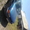 продам машину mitsubishi colt  2800$ #913361