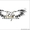 fly-pro телефон +7 775 334 38 23  #1015117
