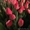 ekodom-11@mail.ru #1048111