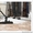 Capital Clean Company #1316969