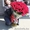 Шикарный свежий букет из 101 красной розы высотой 70 см в красивом оформлении #1505013