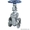 Задвижки стальные  Z40Н-25  LY 30с64нж  (Ру-25) #1559625