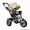 Велосипед Glamvers TIGR TRIKE #1589164