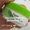 SuperNovaCream #1742406