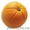 Апельсины из Испании  #163701