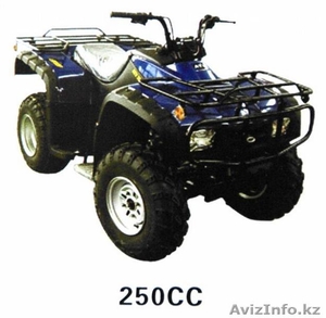 Квадроцикл 250 кубиков #2803