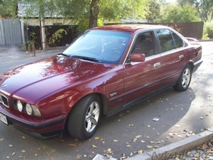 BMW-520i #2830