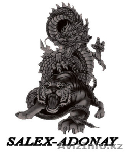 Агентство занятости Salex в Астане #8362