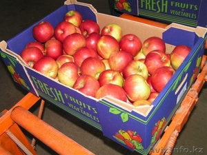 яблоки Польские #17361