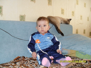 Комната в общежитие #15789