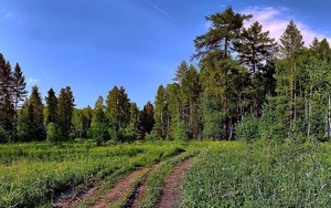 Срочно продам земельный участок #27285