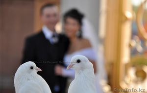 Хороший фотограф с хорошими ценами #21584