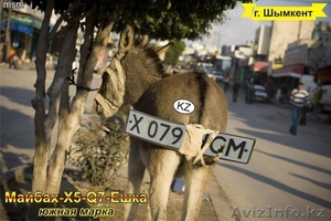 NewUzencity Ешка  #19753