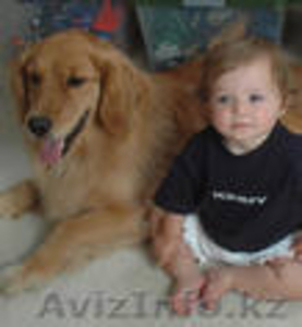 Химчистка,  стирка штор и тюли #24294