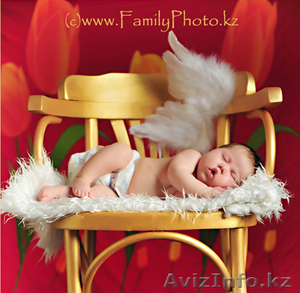 Familyphoto - детская,  семейная фотография #24728