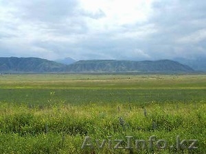 гектар; полевной,  #24680