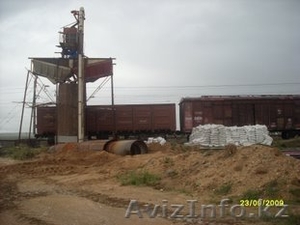 Кормовую ракушку для птицефабрик и корбикормовых заводов #26156