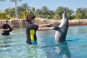 Путешествуя -зарабатываю! Мечта каждого!! #28652