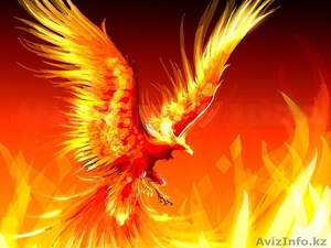 KazPhoenixGroupproduction studio #32153