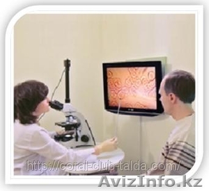 Гемосканирование-диагностика по живой капле крови #33314