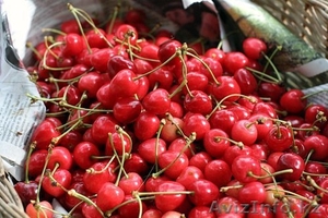 черешня свежая Польская #30080