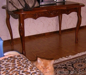 Столи журнальный. Дуб. 9500тг. Палас чешский.Вишня. 19000тг #28060