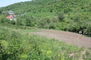 Земельный участок;  «Горный Гигант».  #35085