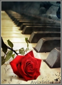 Музыкальная студия. Вокал. #34310