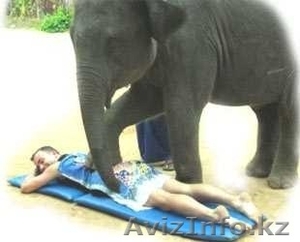 Массаж для женщин - доставьте себе удовольствие #41430