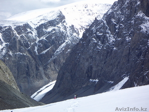 Мир Отдыха туристический  оператор #41023