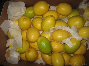 фрукты оптом  #59213