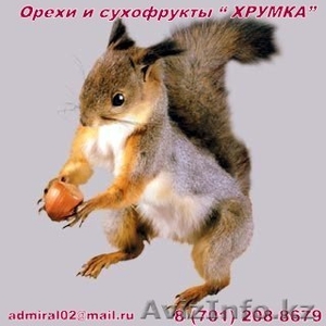 Орехи и сухофрукты 