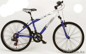 HASA...................... #58308