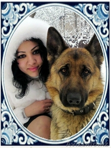 Щенков немецкой овчарки #52973