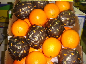 фрукты для оптовиков #59208