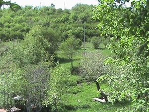 Участок 17 соток Медеуский район #58587