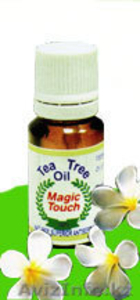 Чайное дерево. Натуральный антисептик.Естесвенная борьба с микробами и грибком #56117