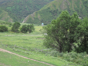 Участки в Тургенском ущелье #50055