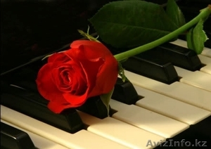 Музыкальная студия на Гоголя #48125