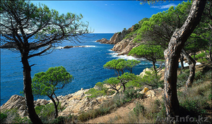 Экскурсии в Барселоне и на Коста Брава (Испания) #55641